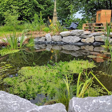 Bed and Breakfast Aubepine Sains-du-Nord Екстер'єр фото