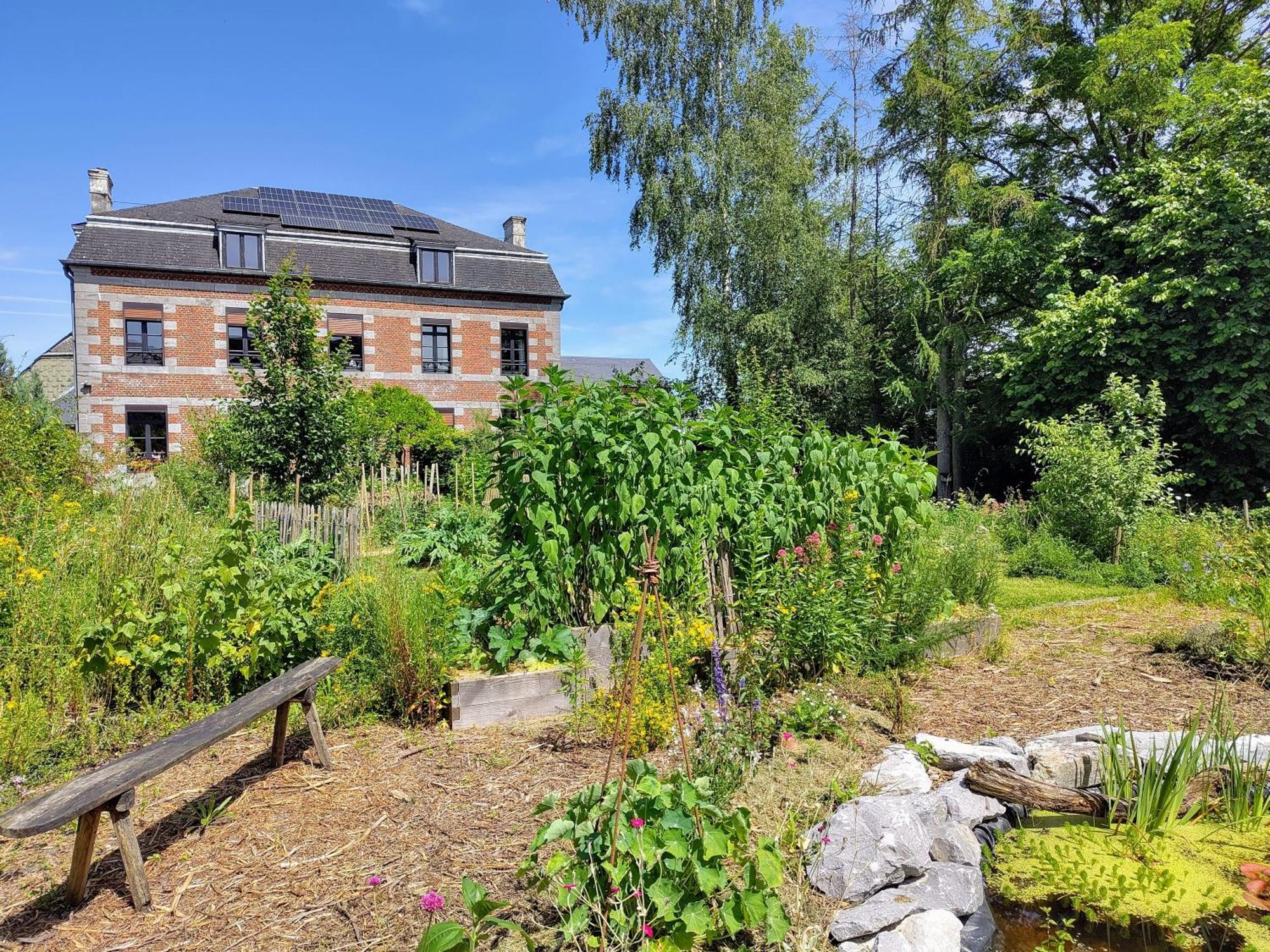 Bed and Breakfast Aubepine Sains-du-Nord Екстер'єр фото